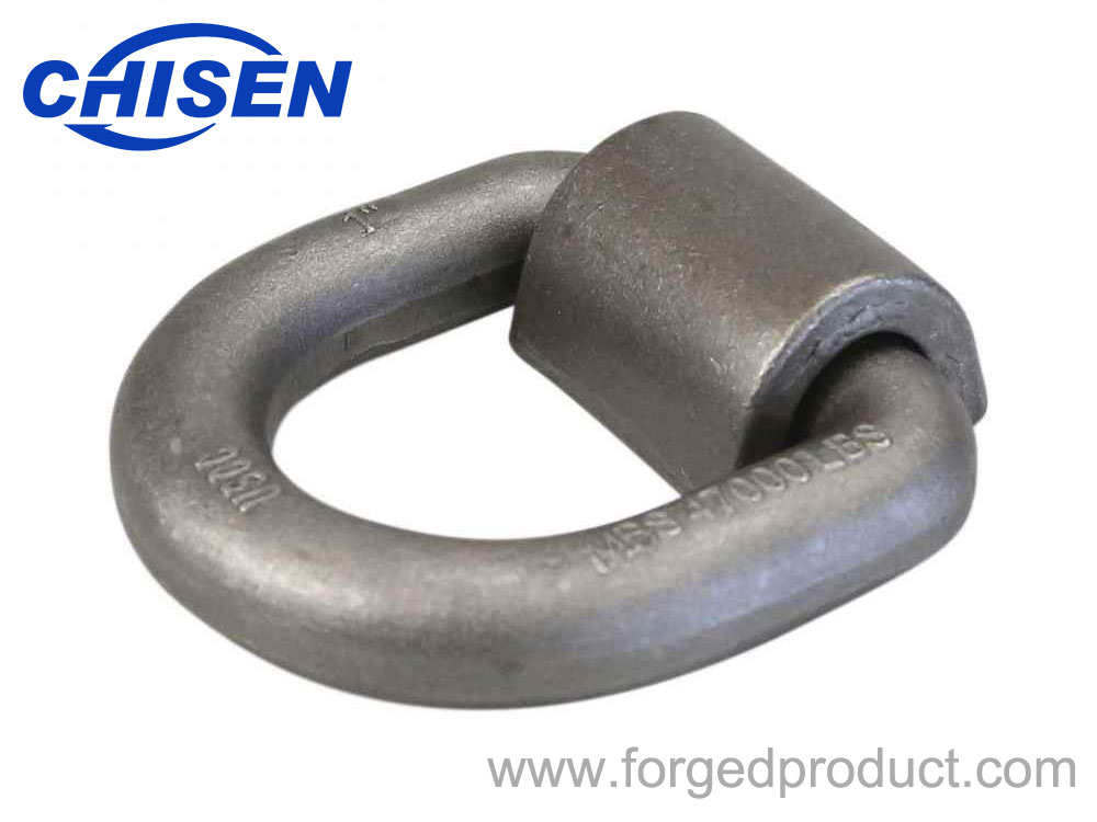 Low Price D-Rings for Marine Container Lashing - China D Ring, D Ring with  Straps