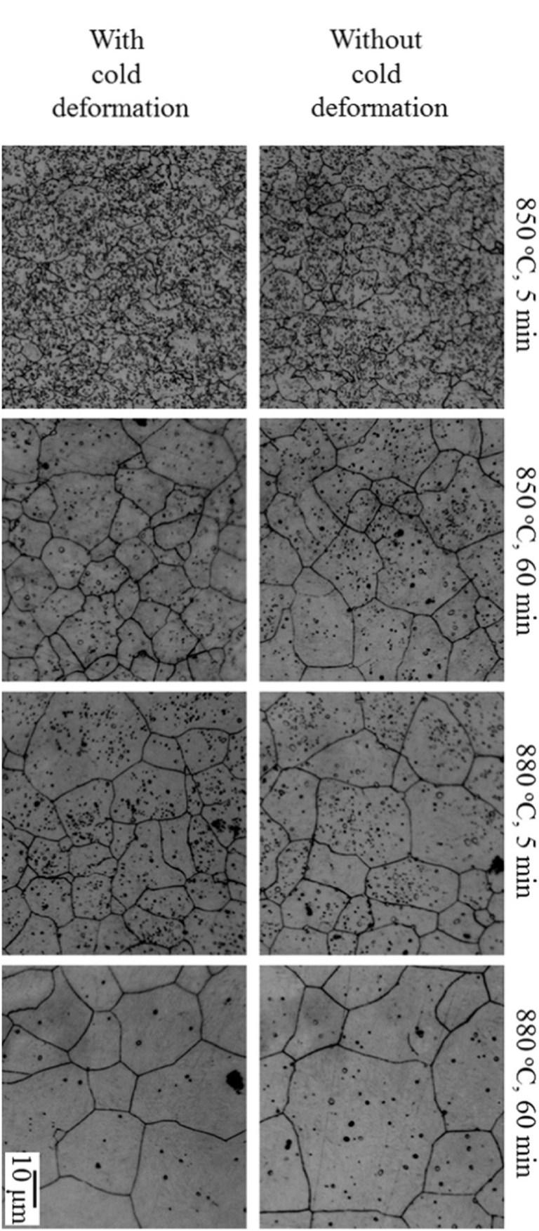 52100 Grain Size Images