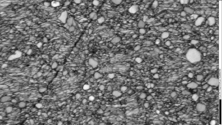 13C26 after a small amount of cold reduction, the carbides are not colored in this image, the black bar is 2 microns